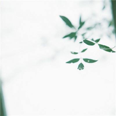 暗黑天空破解版下载