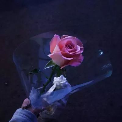 屠龙破晓bt版下载